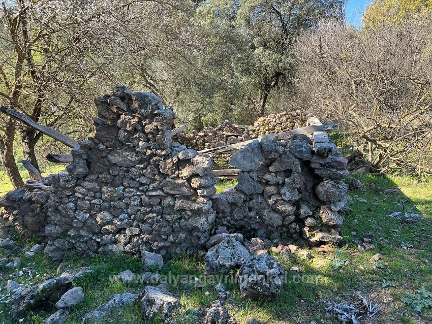 Продается Земельный Участок В Гёкбеле, В Окружении Природы И Леса.