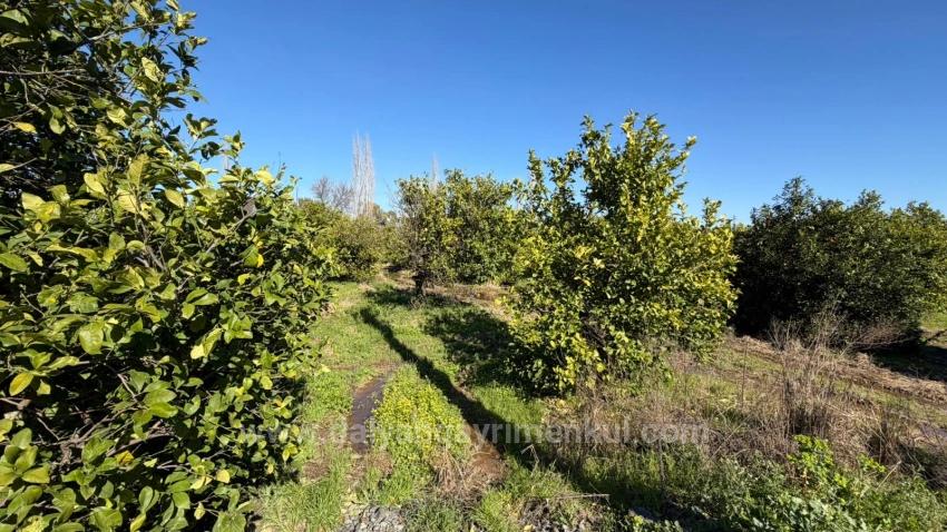 Продается Земельный Участок Площадью 2 218 М² В Окчуларе, Мармарис.