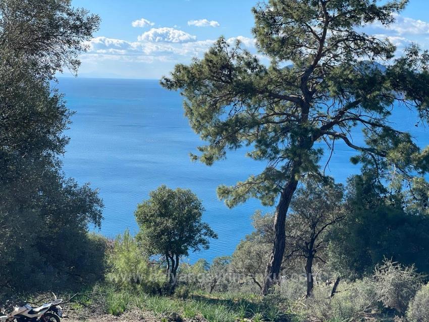 Чандыр 20.000M2 2B С Полным Видом На Море На Продажу