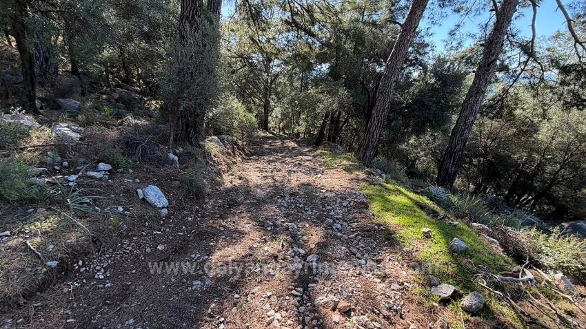 Поле 2B Площадью 5715 М2 С Панорамным Видом На Море В Чандыре