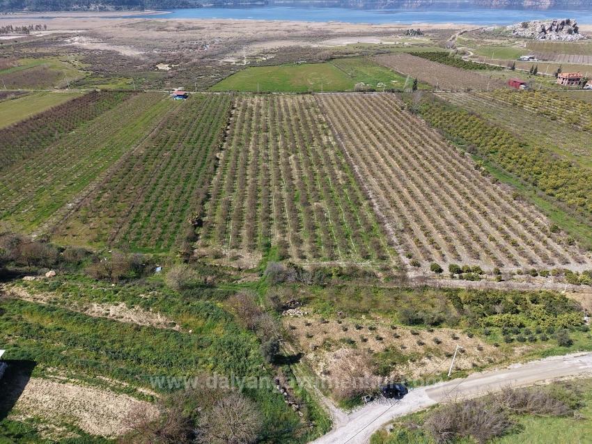 Гранатовый Сад Площадью 16.710 М2 На Продажу С Видом На Озеро В Эскикёй