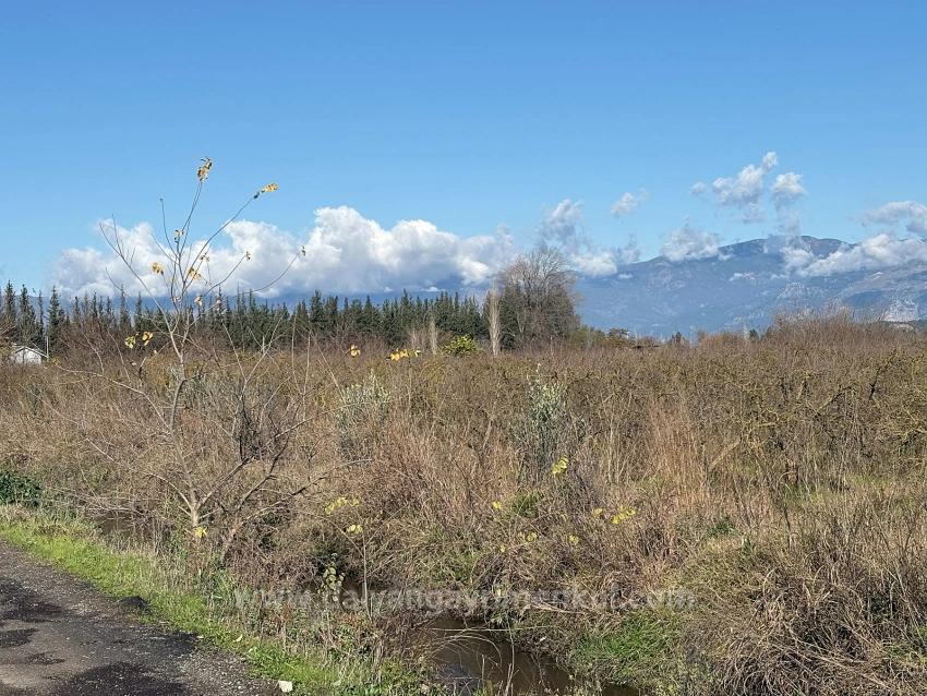 Продается Отдельно Стоящий Земельный Участок Площадью 23 000 М² В Тепеарасы.