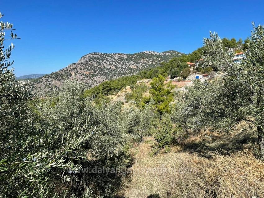 Земля 3514M2 На Продажу С Панорамным Видом На Море В Гёкбеле