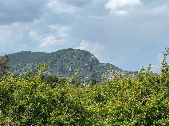 Продается Земельный Участок Площадью 5100 М² В Дальяне, Район Мараш, С Зонированием Под Жилую Застройку На 5%.