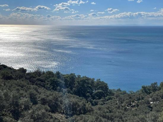 Чандыр 20.000m2 2b С Полным Видом На Море На Продажу