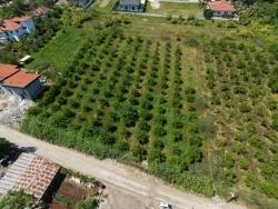 Для Продажи Сюжет в Okçular Ortaca - Под Жилье застройку - 1.050 m²