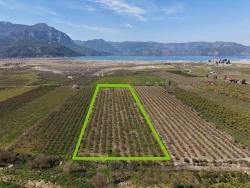 Для Продажи Поле в Eskiköy Ortaca - Под Поле застройку - 16.710 m²