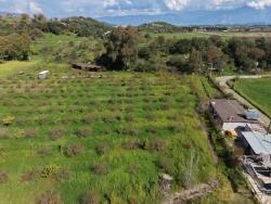 Для Продажи Общежитие в Eskiköy Ortaca - 11.000 m²