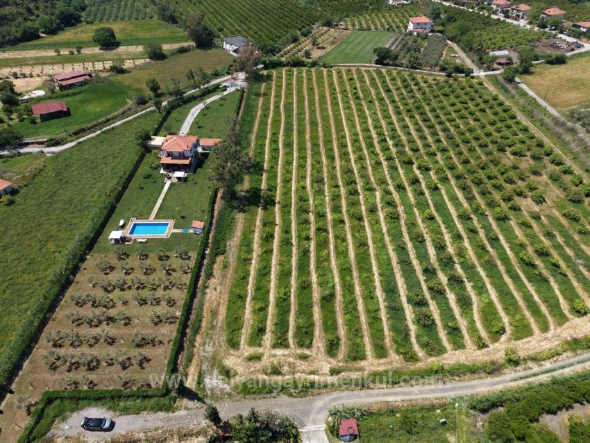 Dalyan Merkeze Yakın 5100M2 Satılık Tarla