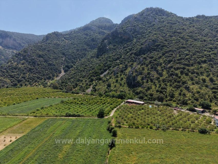 Dalyan Merkeze Yakın 5100M2 Satılık Tarla