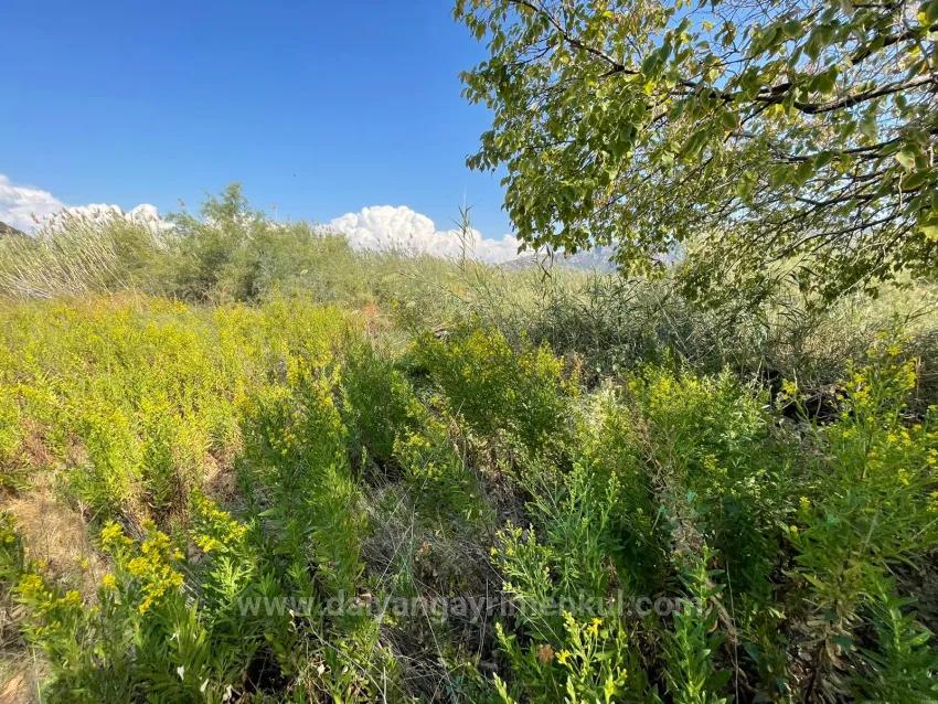 Çandır'da Kanala Sıfır 2765M2 Satılık Müstakil Ev
