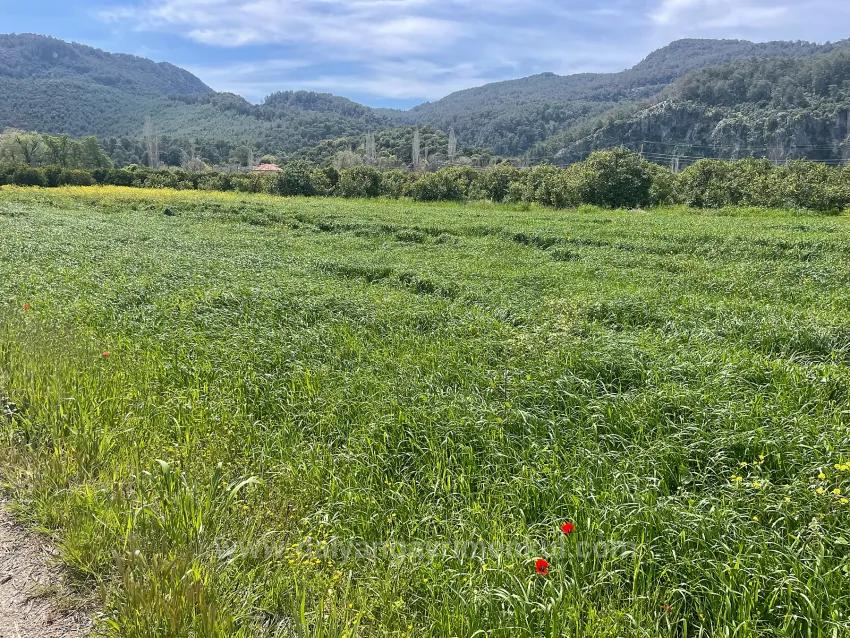 Okçular'da 736M2 Olan 250M2 İnşaat İzinli Satılık Arsa