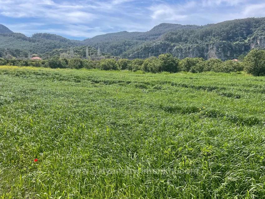 Okçular'da 736M2 Olan 250M2 İnşaat İzinli Satılık Arsa