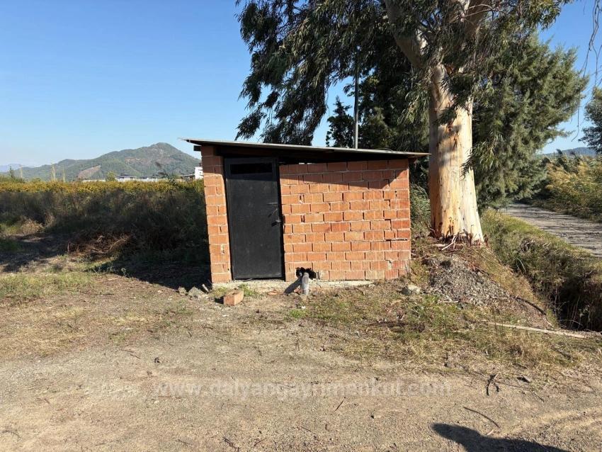 Eskiköy'de 21500M2 Satılık Nar Bahçesi