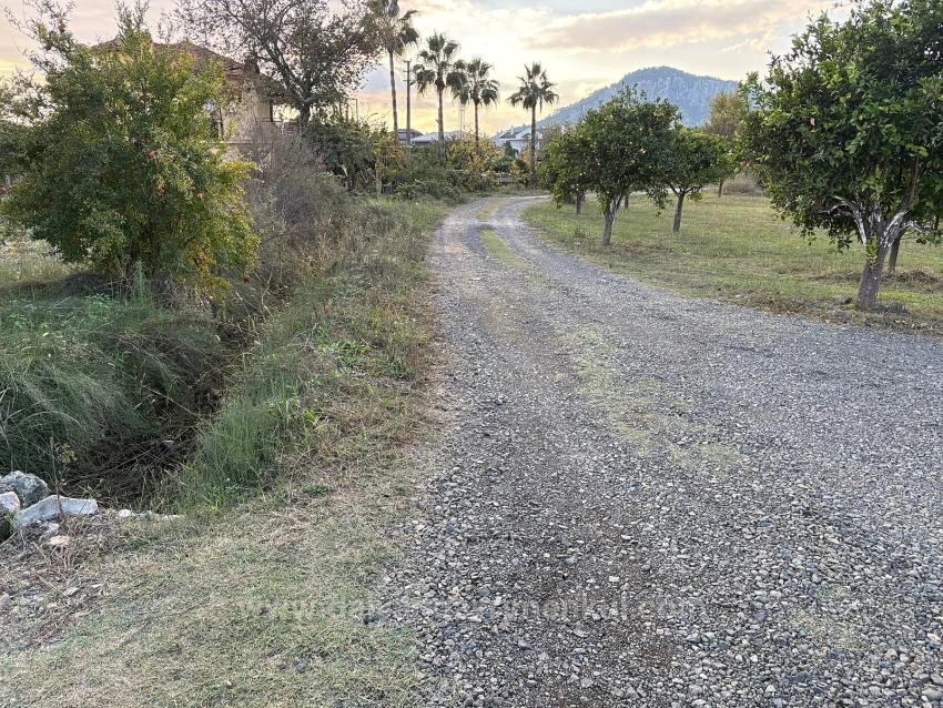 Dalyan'da 7.450M2 %5 İmarlı Satılık Arsa