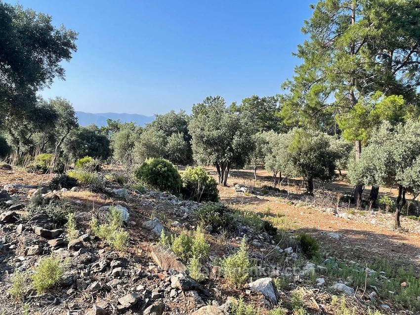 Ekincik Çandır Arasın'da Deniz Manzaralı Kelepir Emlak Satılık Arsa