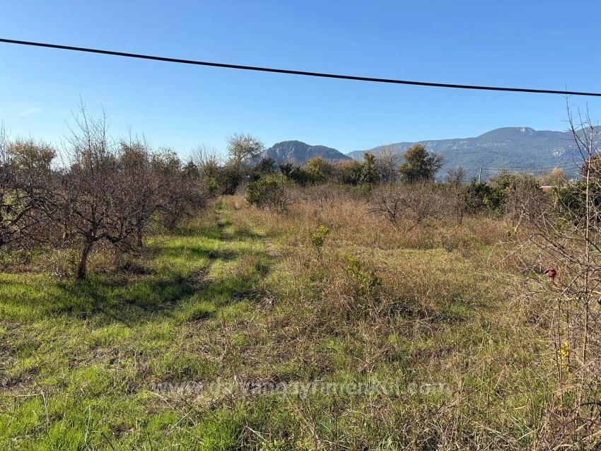 Dalyan'da 4.541M2 Satılık Bahçe