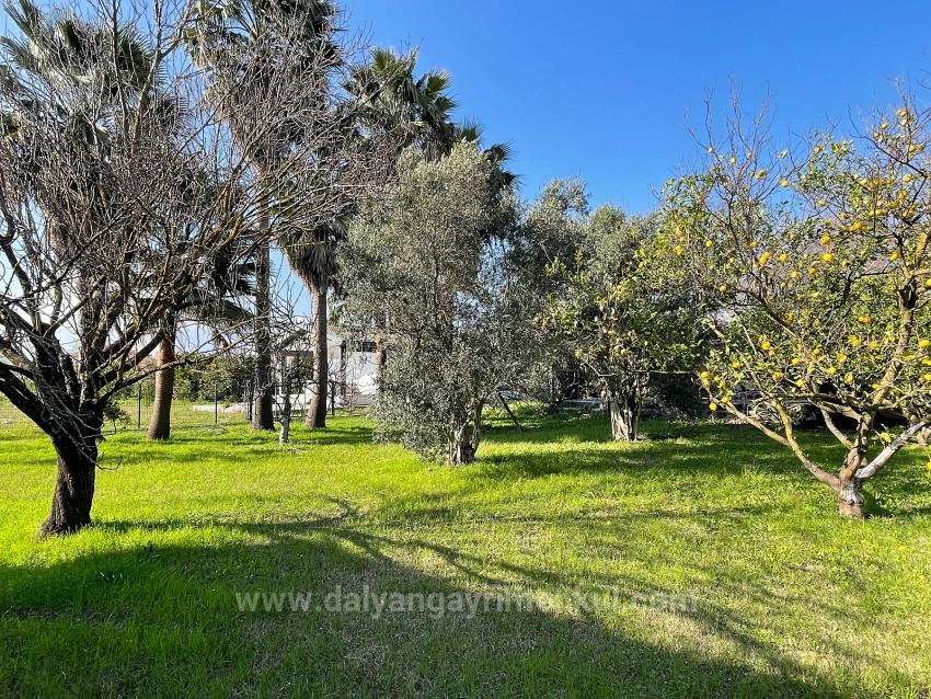 Eskiköy'de 2882 M2 Arsa İçerisinde Müstakil Satılık Tek Katlı Ev