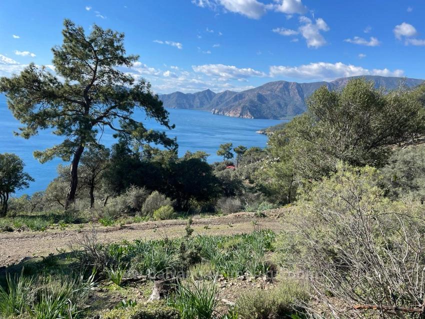 Çandır Full Deniz Manzaralı 20.000M2 Satılık 2B