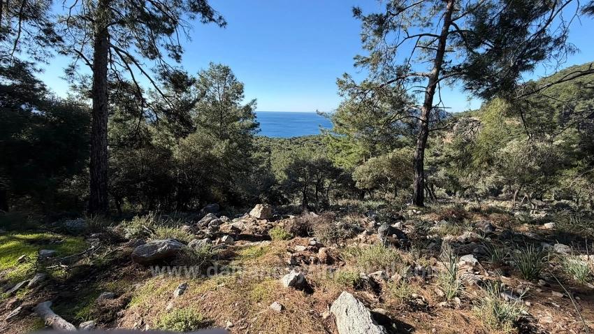 Çandır'da Full Deniz Manzaralı 5715M2 Satılık 2B Tarla