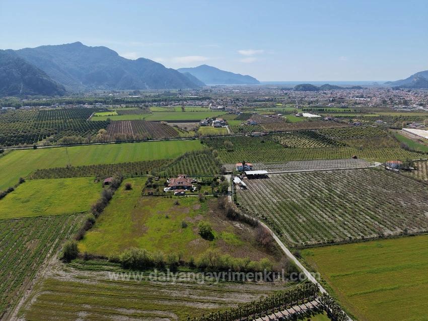Dalyan Merkeze Yakın 17.550M2 Satılık Bağ-Bahçe