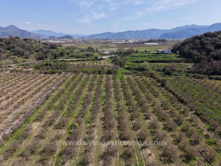 Eskiköy'de Göl Manzaralı 16.710M2 Satılık Nar Bahçesi