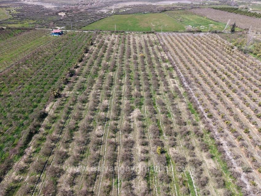 Eskiköy'de Göl Manzaralı 16.710M2 Satılık Nar Bahçesi