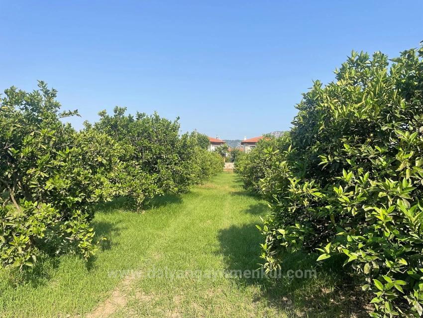 Dalyan Gülpınar'da 722M2 Satılık Arsa