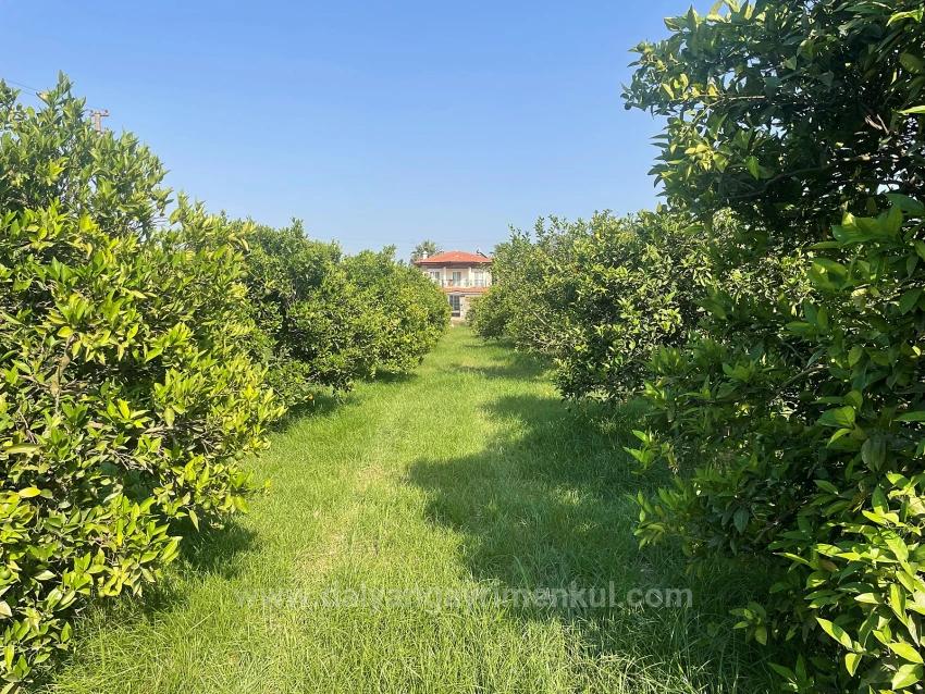 Dalyan Gülpınar'da 722M2 Satılık Arsa