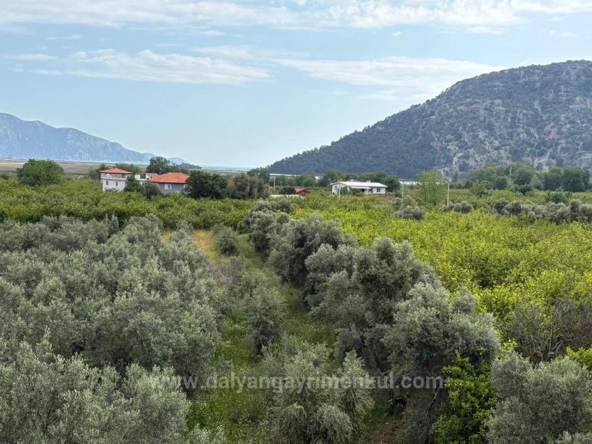 Çandır'da Deniz Ve Göl Manzaralı 1.721M2 Satılık Tarla