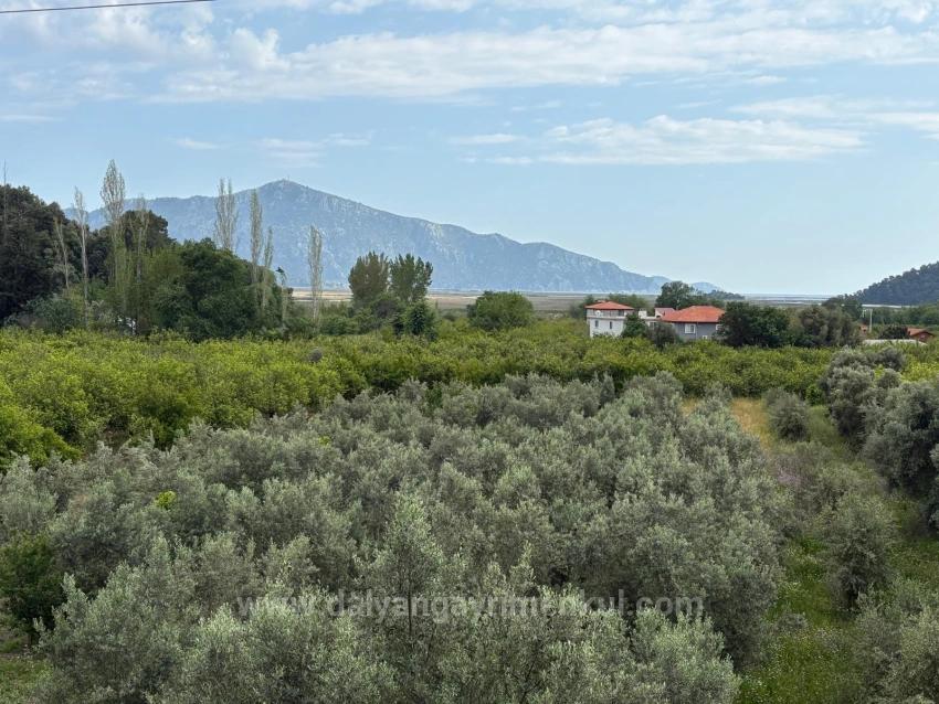 Çandır Köyünde Deniz Ve Göl Manzaralı 1.721M2 Satılık Tarla