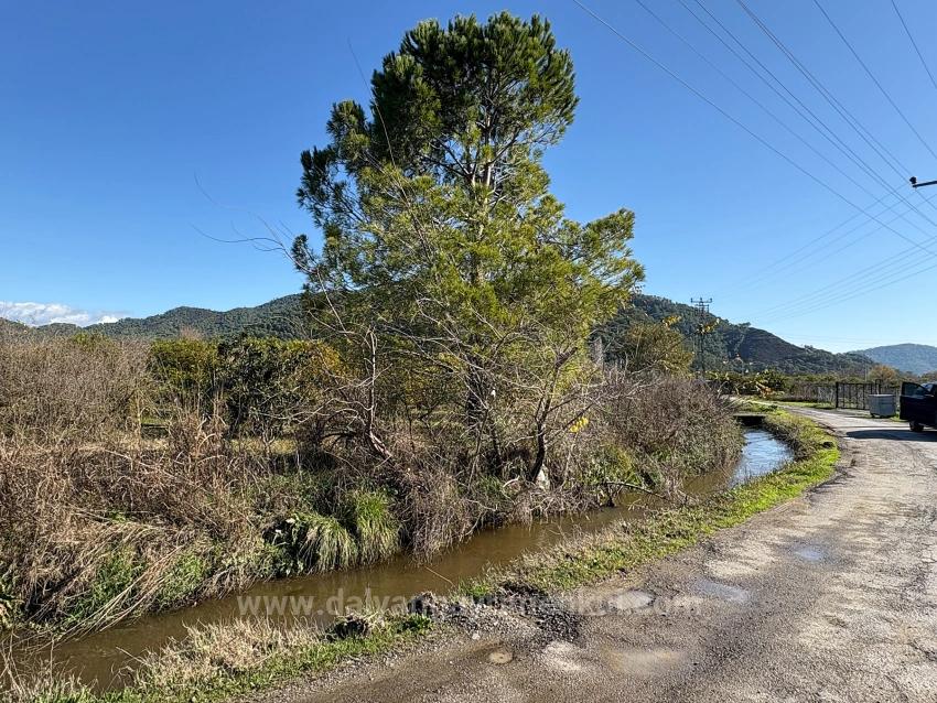 Tepearası'nda 23000M2 Müstakil Satılık Tarla