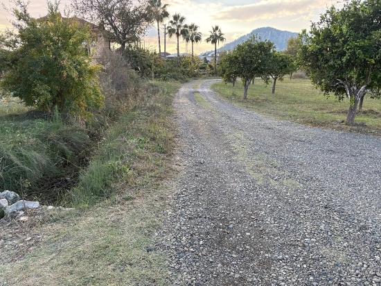 Dalyan'da 7.450M2 %5 İmarlı Satılık Arsa