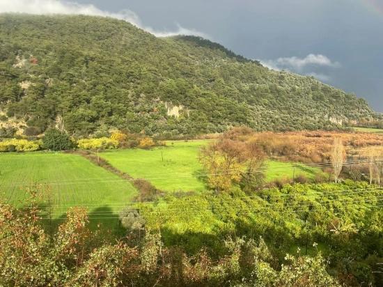 Köyceğiz Çandır'da 35000M2 Satılık Çiftlik Arazisi