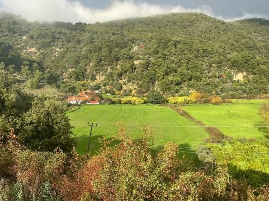 Köyceğiz Çandır'da 35000M2 Satılık Çiftlik Arazisi
