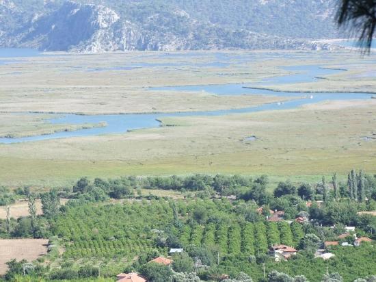 Köyceğiz Çandır'da 19.334M2 Satılık Tarla