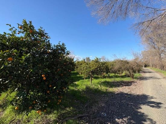 Okçular'da Yerleşik Alanında 4,326M2 Satılık Arsa