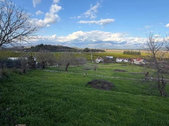 Dalyan'da Göl Manzaralı 11.230M2 Satılık Tarla