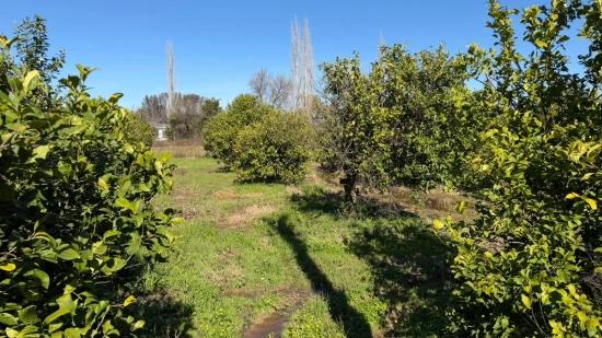 Okçular Marmarlı'da 2.218M2 Satılık Arsa