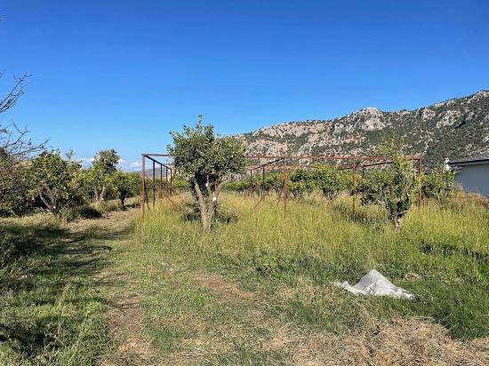 Dalyan'da Merkeze Yakın 6600M2 Satılık Tarla
