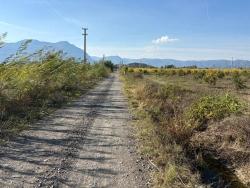 Ortaca Eskiköy Mah. Satılık Tarla - Tarla İmar Durumlu - 21.500 m²