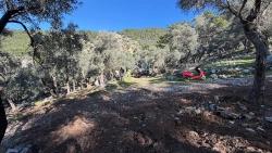 Çandır'da Full Deniz Manzaralı 5715M2 Satılık 2B Tarla